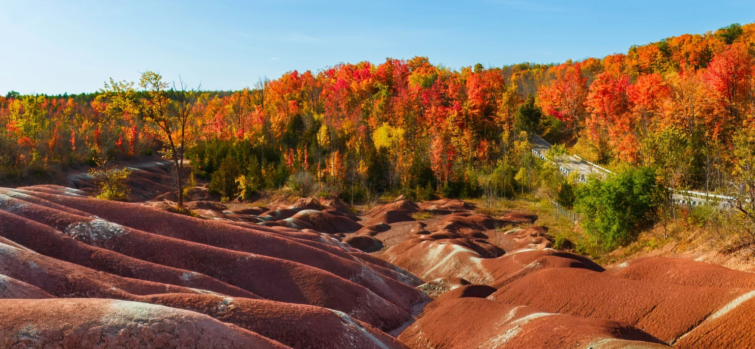 Home &Amp; Lifestyle Show 2025 Caledon, Ontario