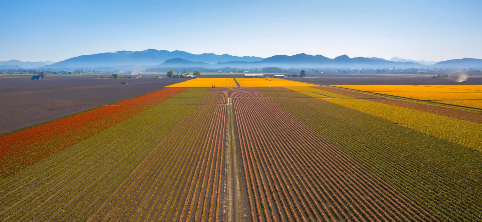 Sicba Home And Garden Show 2025 At The Skagit County Fairgrounds In Mount Vernon, Washington, Showcasing Home Improvement And Gardening Exhibits.