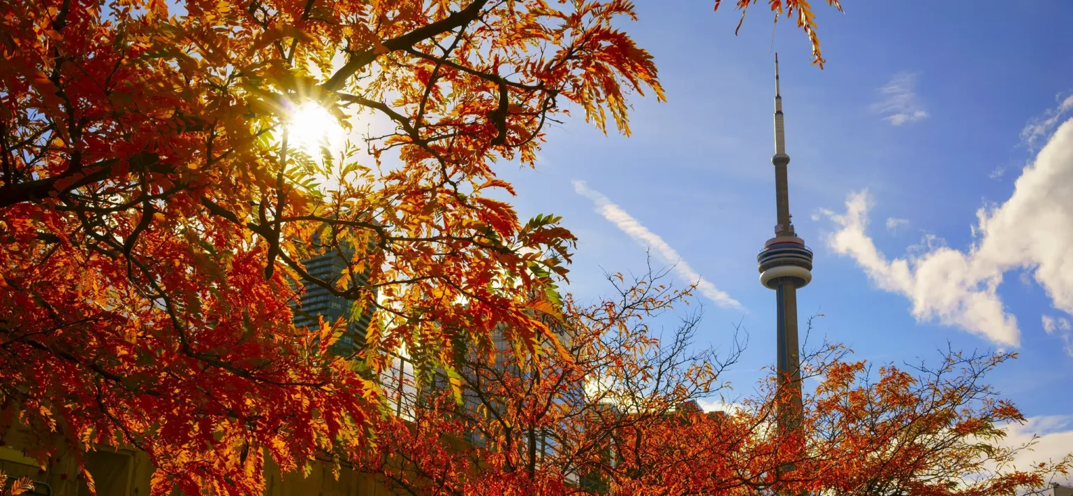 Toronto Fall Home Show 2024